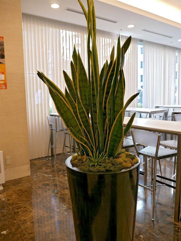 Hotel Villa Fontaine Tokyo-Otemachi Dış mekan fotoğraf